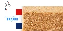 OFG.webp